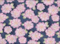 Sakura groß blau Sakura groß blau