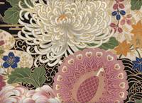 Kiku & Pfau schwarz Kiku & Pfau schwarz