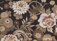 Kiku braun gold Kiku braun gold