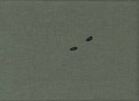 Katzen grün Katzen grün