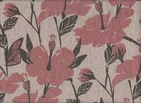 Hibiskus rosa Hibiskus rosa