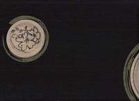 Blumenkreise schwarz Blumenkreise schwarz