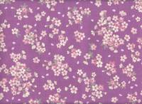 Kirschblüten flieder Kirschblüten flieder