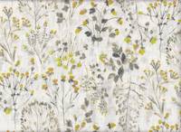 Wild Flower Wild Flower