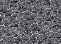 Wellen & Fuji schwarz Wellen & Fuji schwarz