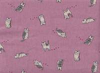 Katze Fabius rosa Katze Fabius rosa