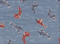 Koi klein hellblau Koi klein hellblau