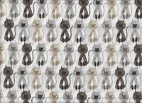 Katzen weiß Katzen weiß