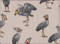 Schuhschnabel natur Schuhschnabel natur