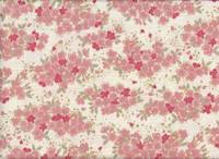 Sakura klein creme Sakura klein creme