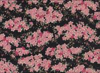 Sakura klein schwarz Sakura klein schwarz