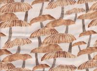 Pilze natur Pilze natur