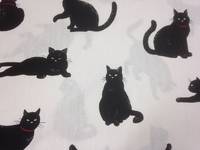 Katzen groß weiß Katzen groß weiß