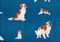 Kooikerhondje blau Kooikerhondje blau