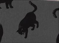 Katzen groß grau Katzen groß grau