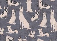 Yuwa Park of the dog gray Yuwa Park of the dog gray