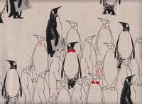 Pinguine natur Pinguine natur