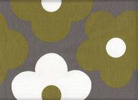 Big Flower gray moss Big Flower gray moss