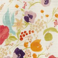 nani IRO Fuccra rakuen A nani IRO Fuccra rakuen A