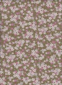 Sakura olive Sakura olive