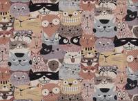 Tume - Katzen braun Tume - Katzen braun