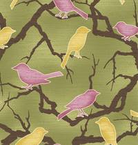 Bird green Bird green