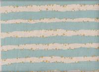 Stars & Stripes hellblau Stars & Stripes hellblau