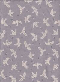 Vögel grau Vögel grau