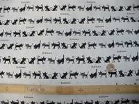 Filou weiß Filou weiß