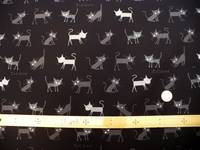 Felix schwarz Felix schwarz