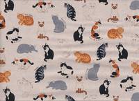 Katzen natur Katzen natur