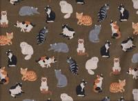 Katzen grün-braun Katzen grün-braun