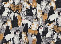 Katzenhaufen schwarz Katzenhaufen schwarz
