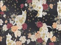 Hana neko schwarz Hana neko schwarz