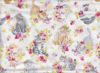 Cute Cat white Cute Cat white