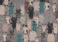 Miyako cat grau Miyako cat grau