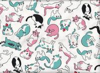 Katzen weiß Katzen weiß