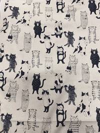 Miyako - Katzen blau Miyako - Katzen blau