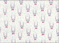 Hase weiß Hase weiß