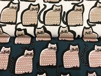 Katzen weiß Katzen weiß