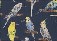 Parakeet blue Parakeet blue