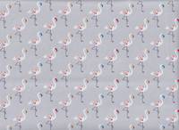 Flamingo grau Flamingo grau