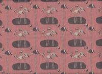 Flamingo altrosa Flamingo altrosa