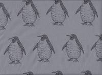 Pinguin grau Pinguin grau