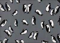 Pinguin grau Pinguin grau