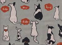 Hunde von hinten grau grün Hunde von hinten grau grün