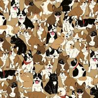 Hundehaufen beige Hundehaufen beige