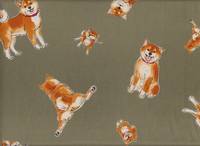 Shiba Inu khaki Shiba Inu khaki