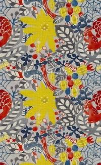 Eichhörnchen grau Eichhörnchen grau