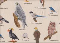 Bird Encyclopedia natur Bird Encyclopedia natur